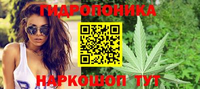 бошки Гусь-Хрустальный